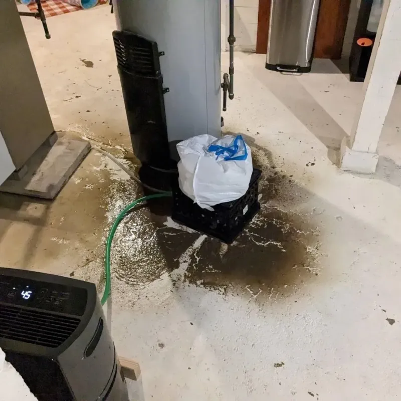 Sewage Backup Cleanup Service in Cassopolis, MI